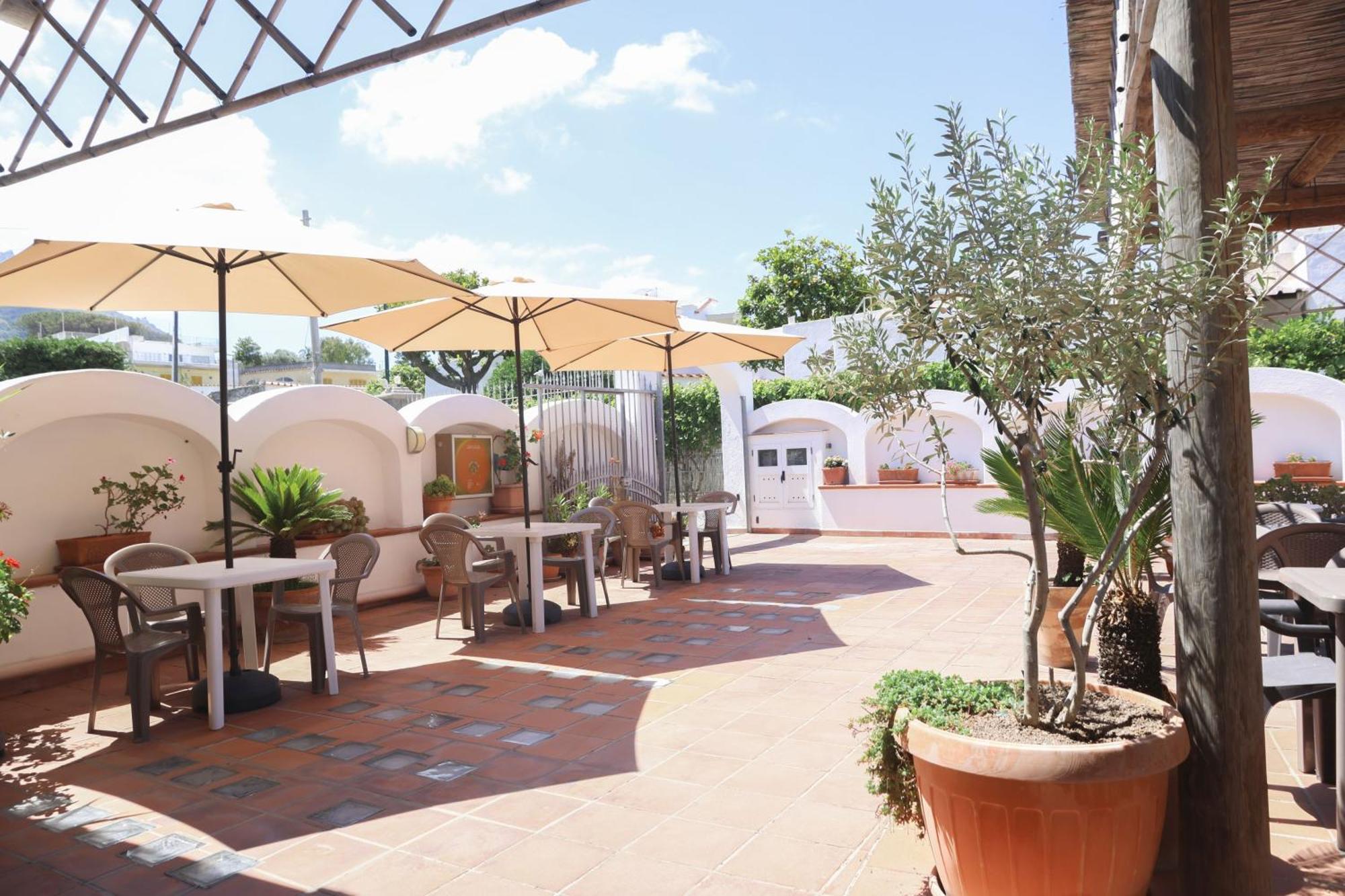 Hotel Cesotta Forio di Ischia Eksteriør bilde